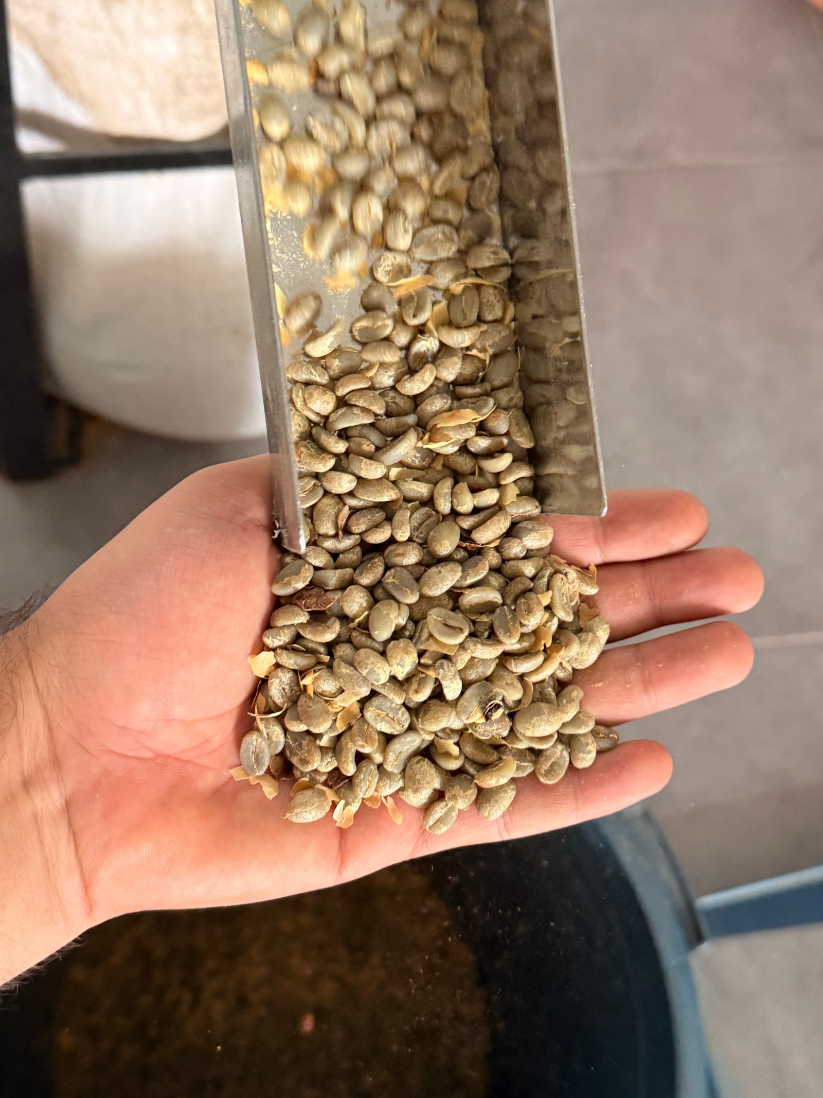 Planta de trilla y zarandas de mallas Dopsen Cafe